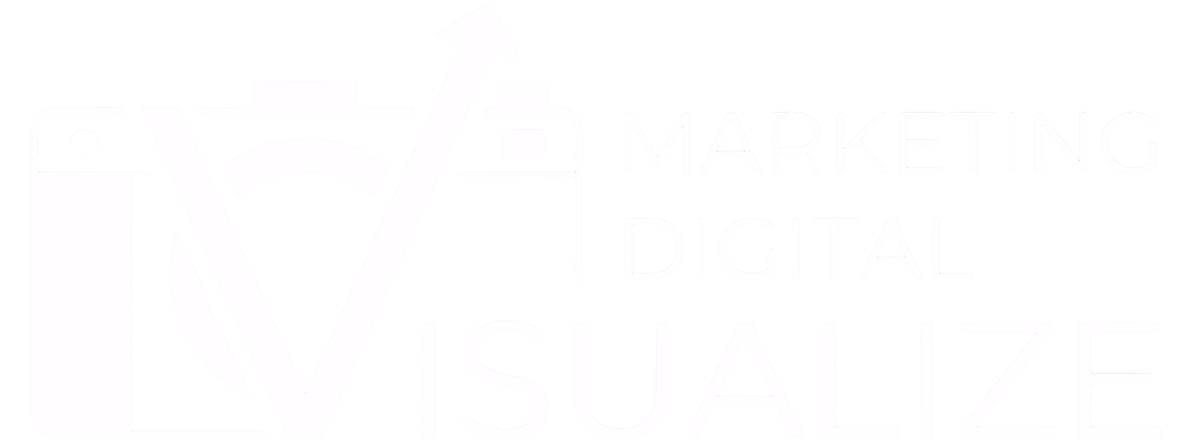 Visualize Logo